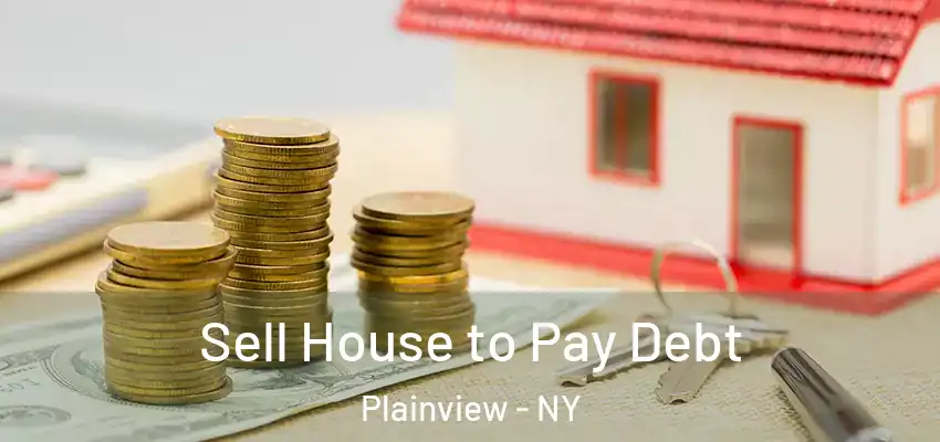 Sell House to Pay Debt Plainview - NY